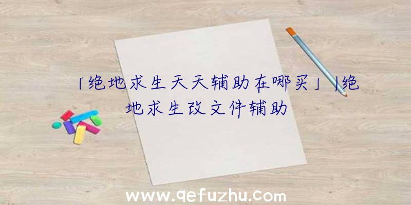 「绝地求生天天辅助在哪买」|绝地求生改文件辅助
